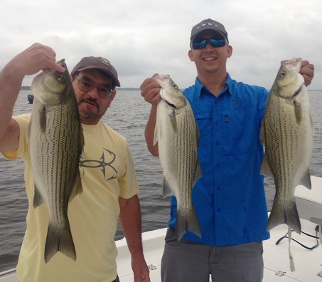 07-19-14 WILLIAMS HYBRIDS WITH BIGCRAPPIE TX